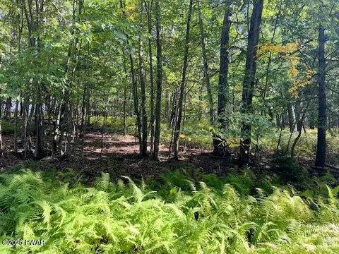 lot427 Squirrel Rd, Dingmans Ferry, PA 18328