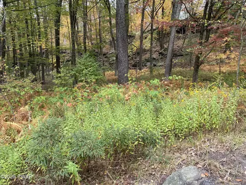 124 Remuda Dr, Lords Valley, PA 18428