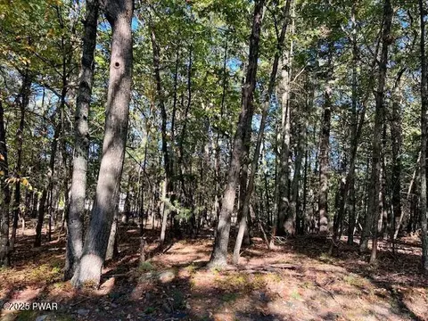 116 Primrose Ln, Dingmans Ferry, PA 18328