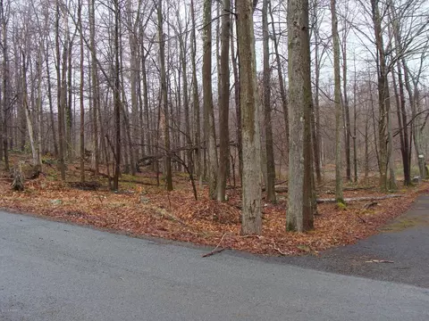 lot74 Alder Dr, Newfoundland, PA 18445
