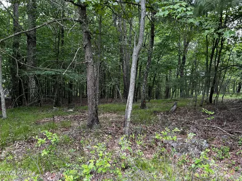 177 Gunstock Ln, Tafton, PA 18464