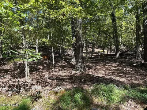 Ojibway Drive, Lakeville, PA 18438