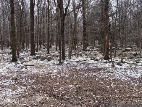 Valley Road, Newfoundland, PA 18445