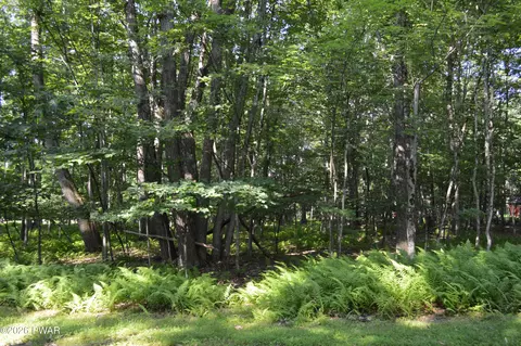 Seminole Drive, Lakeville, PA 18438