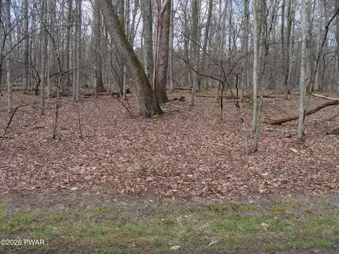 Seminole Drive, Lakeville, PA 18438