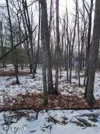 lot897 Pico Ln, Tafton, PA 18464