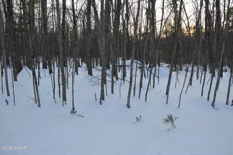 Bear Paw Drive, Lakeville, PA 18438