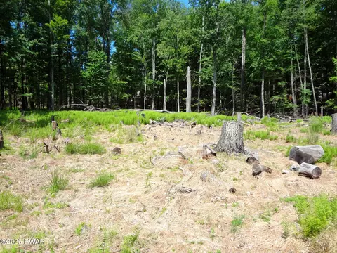 10 11dr South Briar Hill W Lakeside Dr, Lakeville, PA 18438