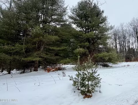 Meadows Drive, Hawley, PA 18428