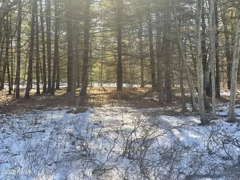 Maplewood Drive, Lackawaxen, PA 18435