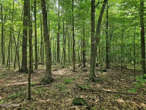lot61 Rock Run Rd, Equinunk, PA 18417