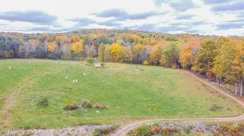 Other - 69 E Sterling Rd, Newfoundland, PA 18445 photo 22 of 29