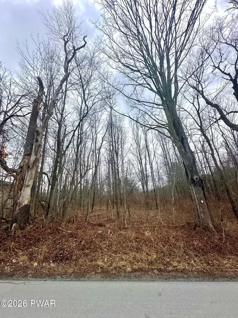 Hitchcock Road, Jefferson Township, PA 18436