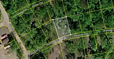 43 Ahwahnee Trl, Newfoundland, PA 18445