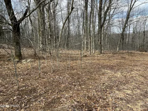 lot12 Sec 2, Newfoundland, PA 18445
