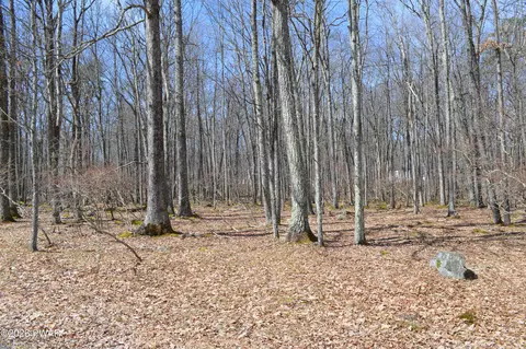 lot23 R Forest Ct, Hawley, PA 18428