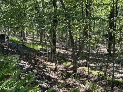 lot290 Mountain Top Dr, Dingmans Ferry, PA 18328