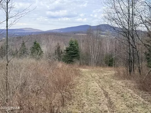 Osweld Johnson Road, Clifford Township, PA 18441