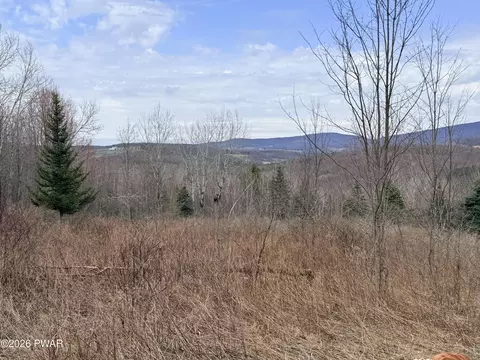 Osweld Johnson Road, Clifford Township, PA 18441