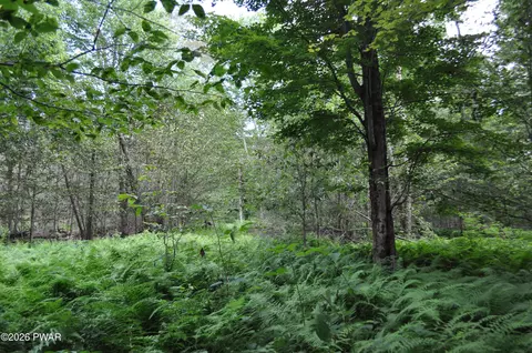 Bryn Mawr Road, Honesdale, PA 18431