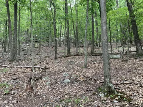 lot846 Alta Ln, Tafton, PA 18464