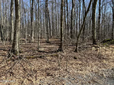 lot2230 R Saw Mill Rd, Greentown, PA 18426