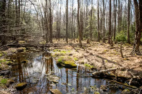 Rocky Swamp Rd 40, Pocono Lake, PA 18347
