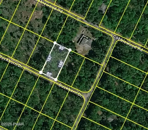 lot5 Buckhorn Dr, Newfoundland, PA 18445