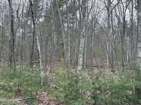 lot13 Juniper Ter, Dingmans Ferry, PA 18328