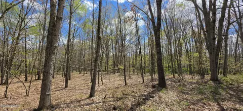 lot17 14 Skipperene Rd, Cochecton, NY 12726