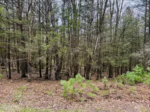 Happy Hollow Drive, Shohola, PA 18458