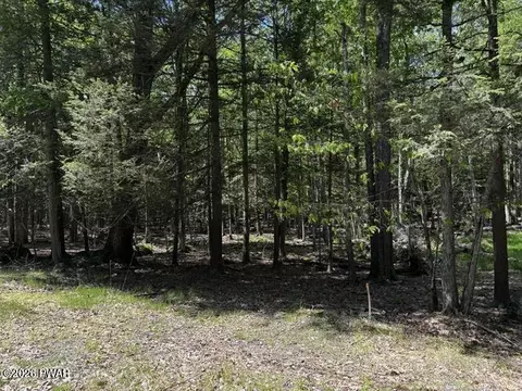 lot826 Fawn Rd And Lot 824 Pine Creek Rd, Hawley, PA 18428
