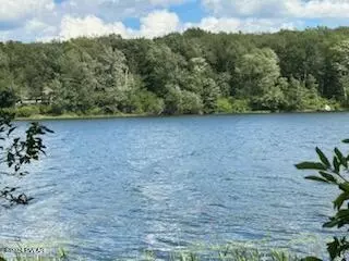 lot R-c3 Spruce Lake Rd, Thompson, PA 18465