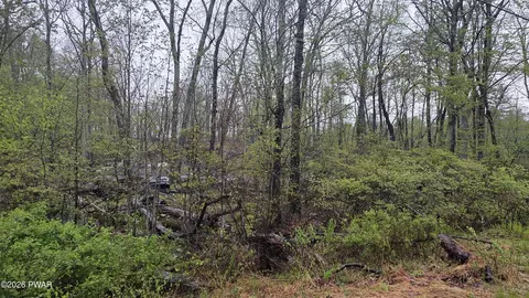 lot1 White Birch Dr, Hawley, PA 18428