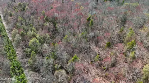 39 And 40 Rocky Swamp Rd 39, Pocono Lake, PA 18347