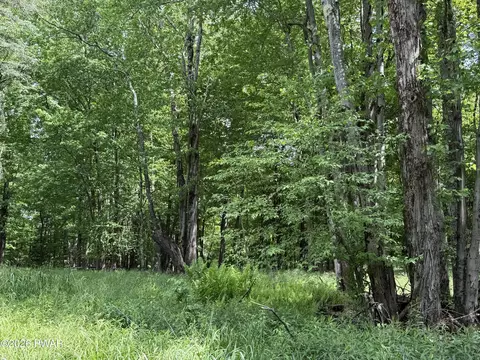 Dixon Valley Road, Pleasant Mount, PA 18453
