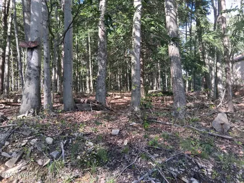 28 Chestnut Hill Dr, Lake Ariel, PA 18436