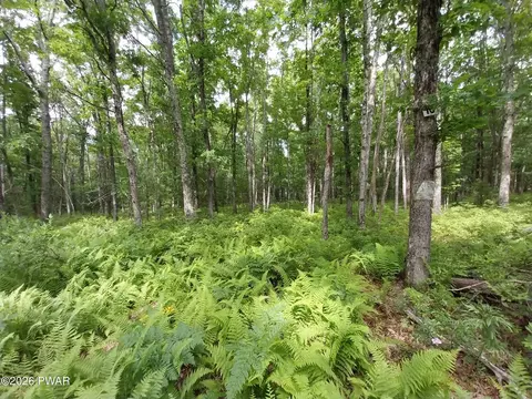 lot10 Whispering Oaks Road Rd, Greeley, PA 18425