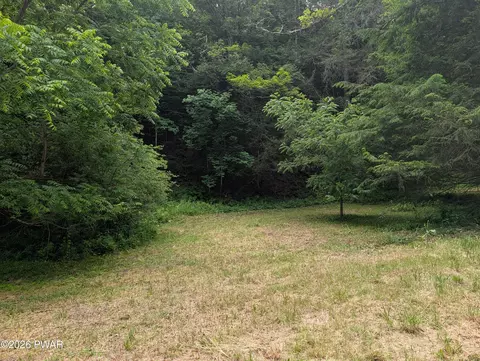 103 Hopkins, Tyler Hill, PA 18469