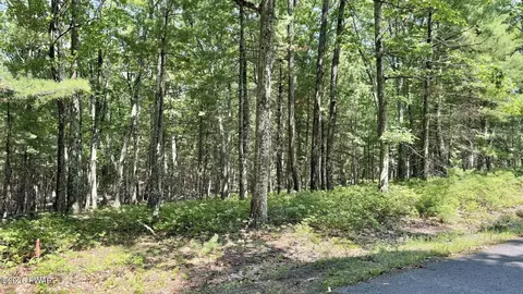 lot45 Soose Way, Tafton, PA 18464