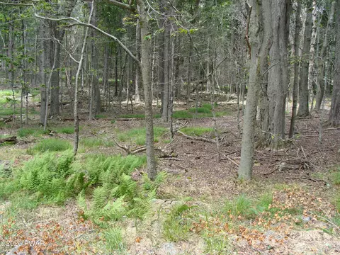 Pocono Drive, Gouldsboro, PA 18424