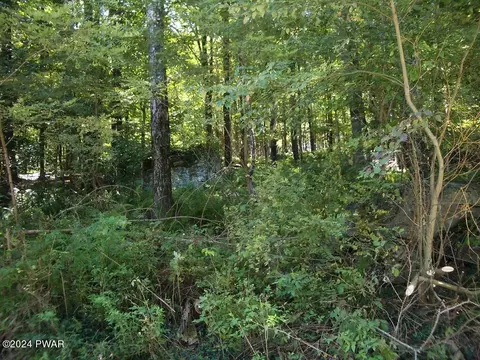 lot3 Gilpin Rd, Newfoundland, PA 18445