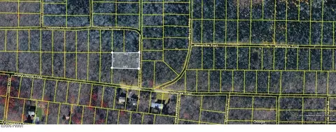 lot Fp595 Chikesaw Trl, Albrightsville, PA 18210
