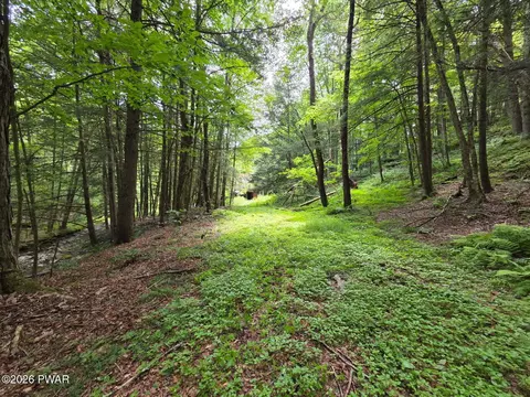 570 Pleasant Valley Rd, Starrucca, PA 18462