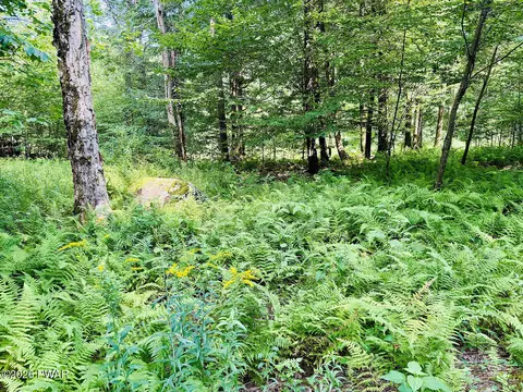 0 Callicoon Rd, Damascus, PA 18415