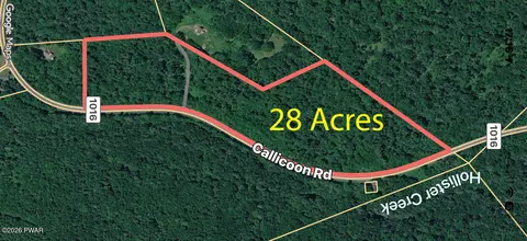 0 Callicoon Rd, Damascus, PA 18415