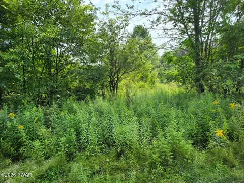 Rotten Road, Equinunk, PA 18417