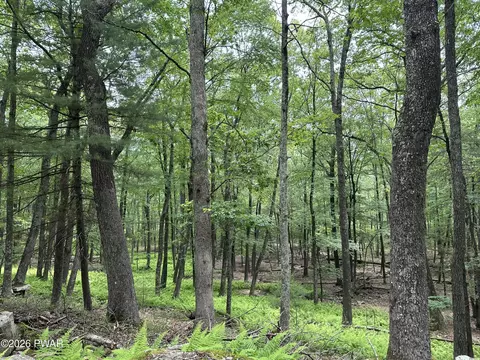 141 Waterview Dr, Lackawaxen, PA 18435