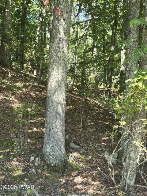 lot3 Renee Dr, Dingmans Ferry, PA 18328