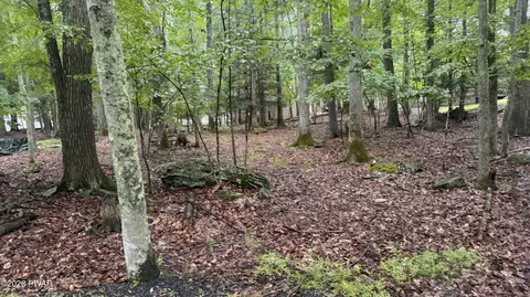 lot183 Forest Dr, Lakeville, PA 18438